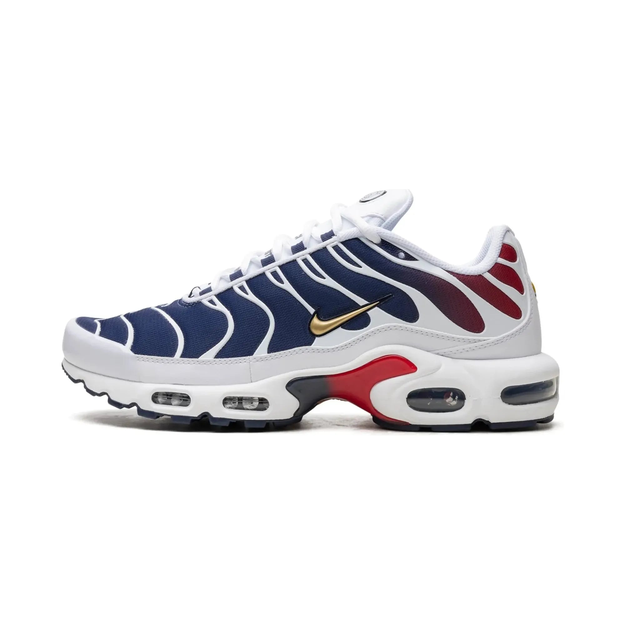 Nike Air Max Plus PSG