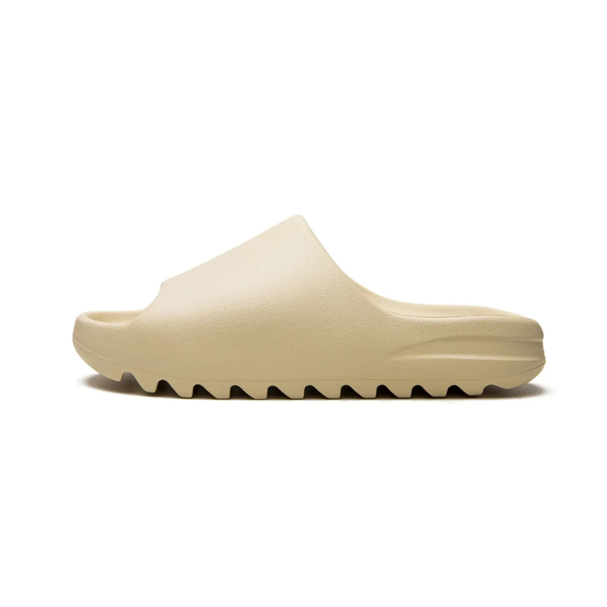 slides Bone