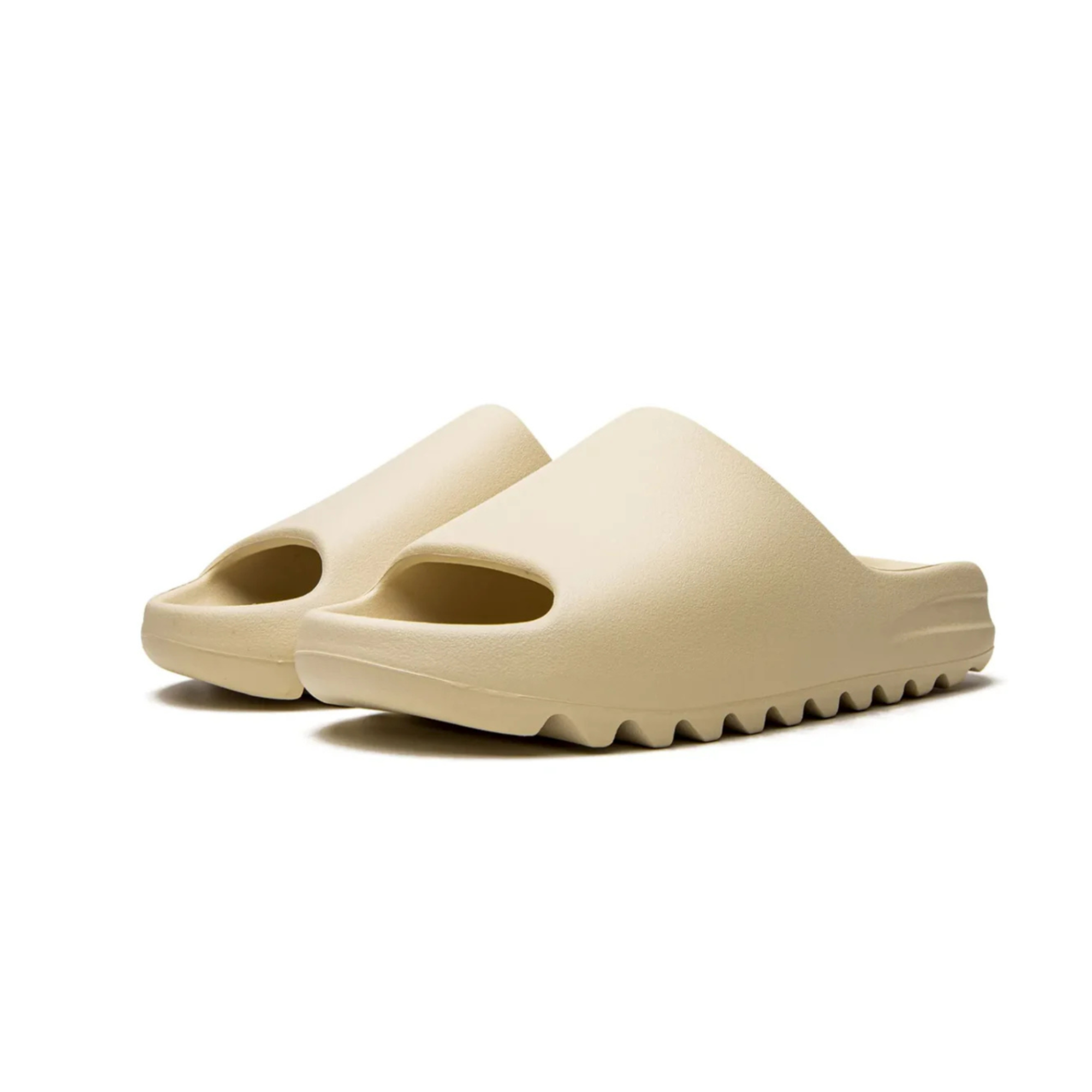 slides Bone