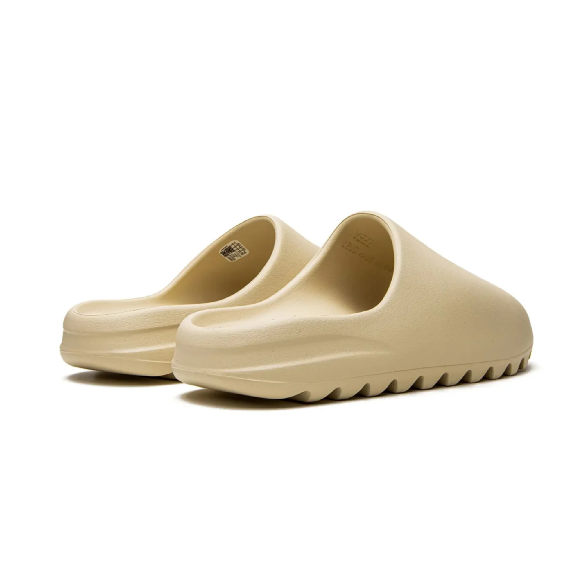 slides Bone