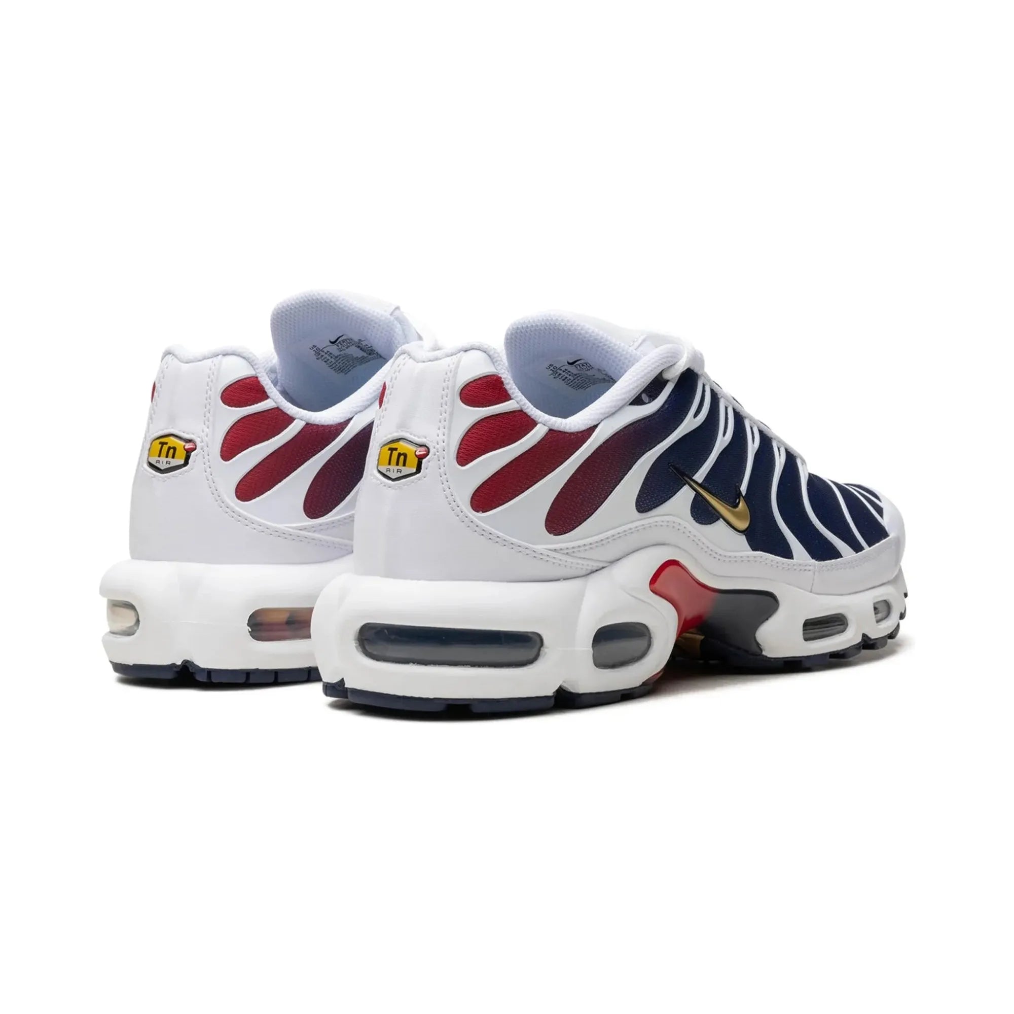 Nike Air Max Plus PSG