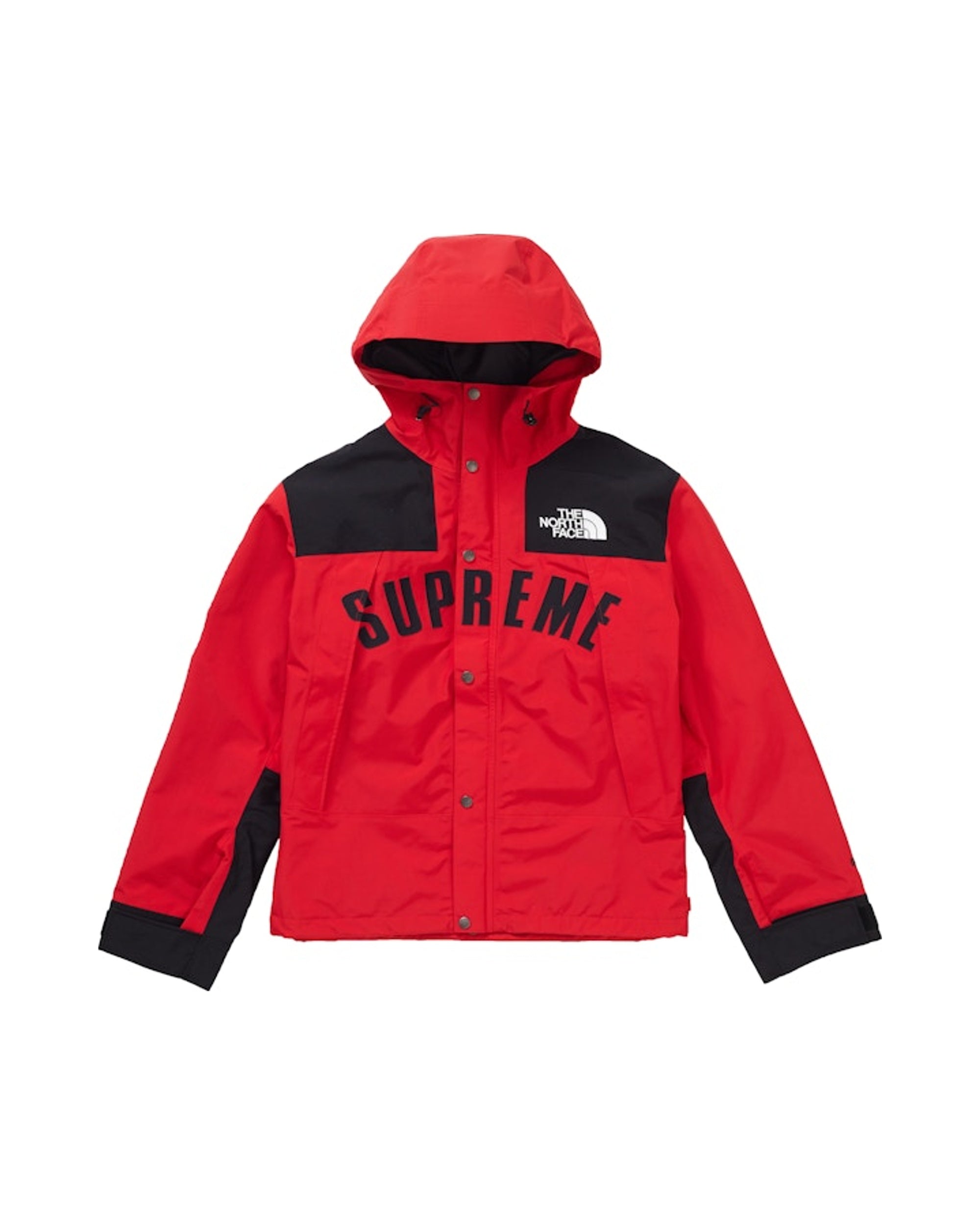 Supreme The North Face Arc Logo Mountain Parka Red