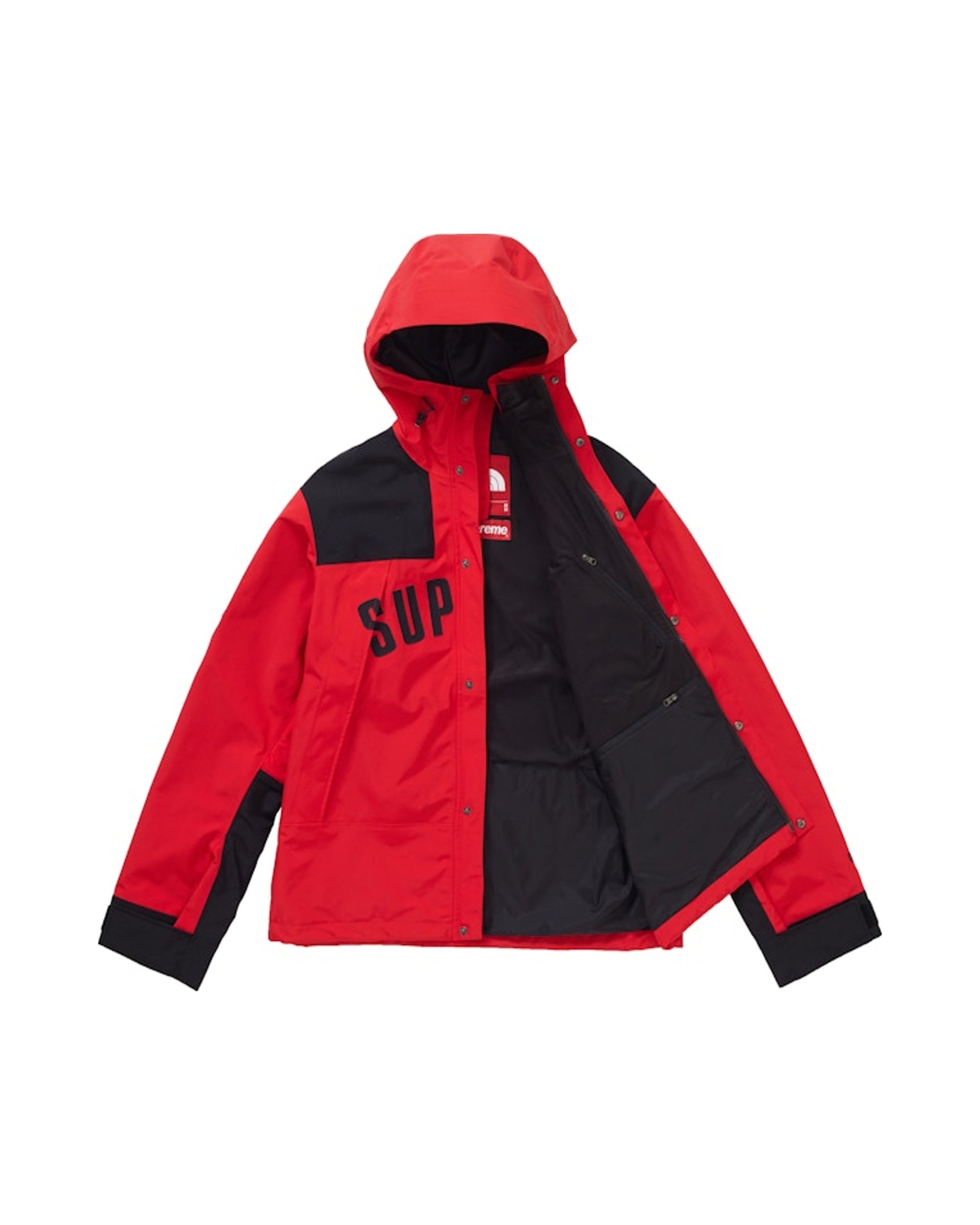 Supreme The North Face Arc Logo Mountain Parka Red