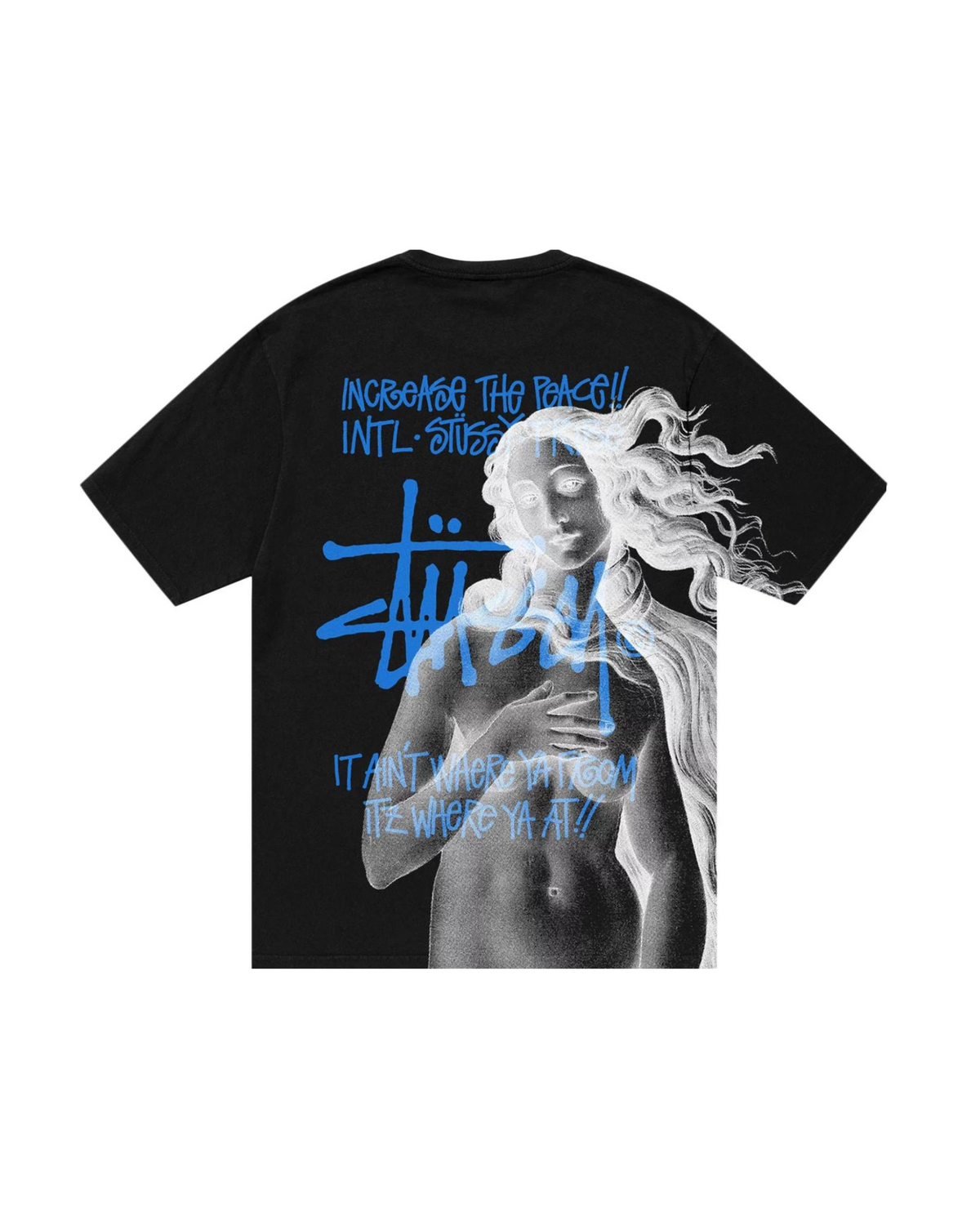 Stussy Pigment Dyed Venus Tee Black
