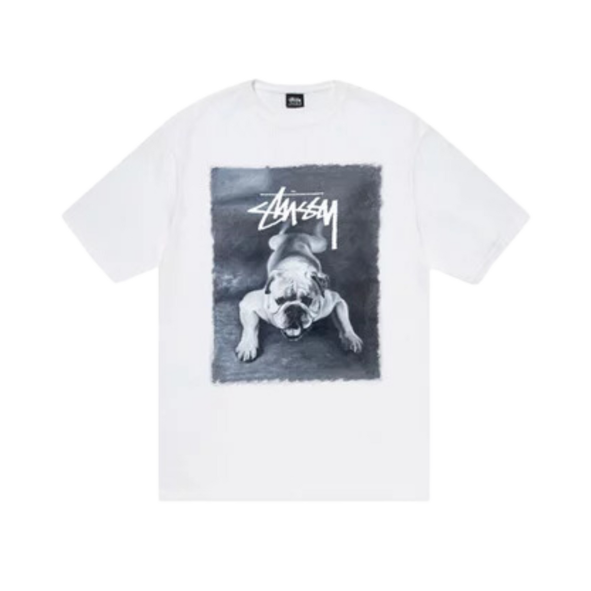 Stüssy Bulldog T-shirt "White"