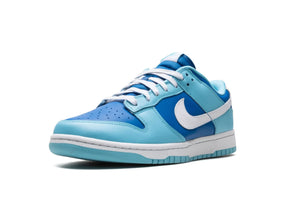 Nike Dunk Low QS "Argon" - street-bill.dk