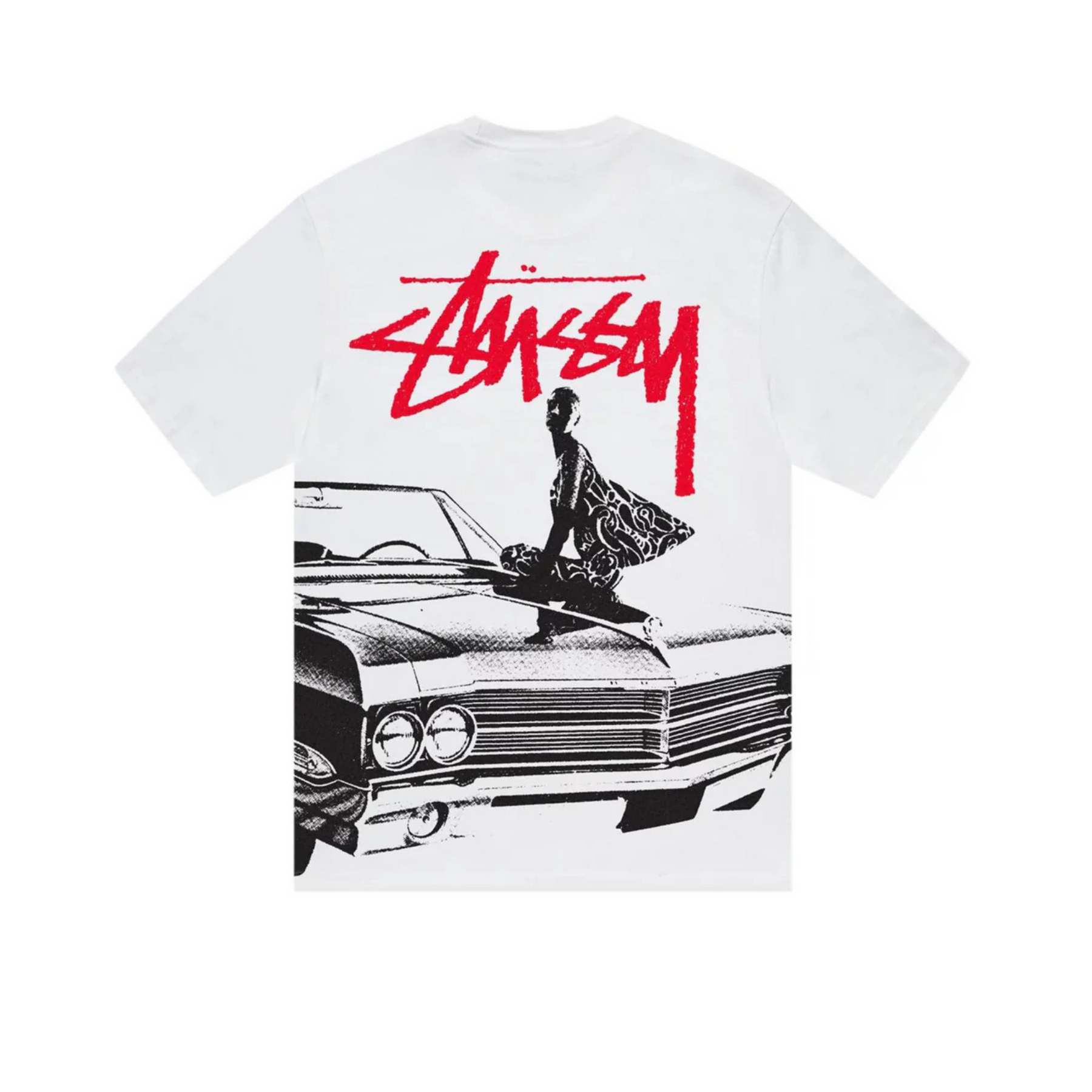 Stüssy t-shirt crazy