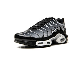 Nike Air Max Plus Black Silver White