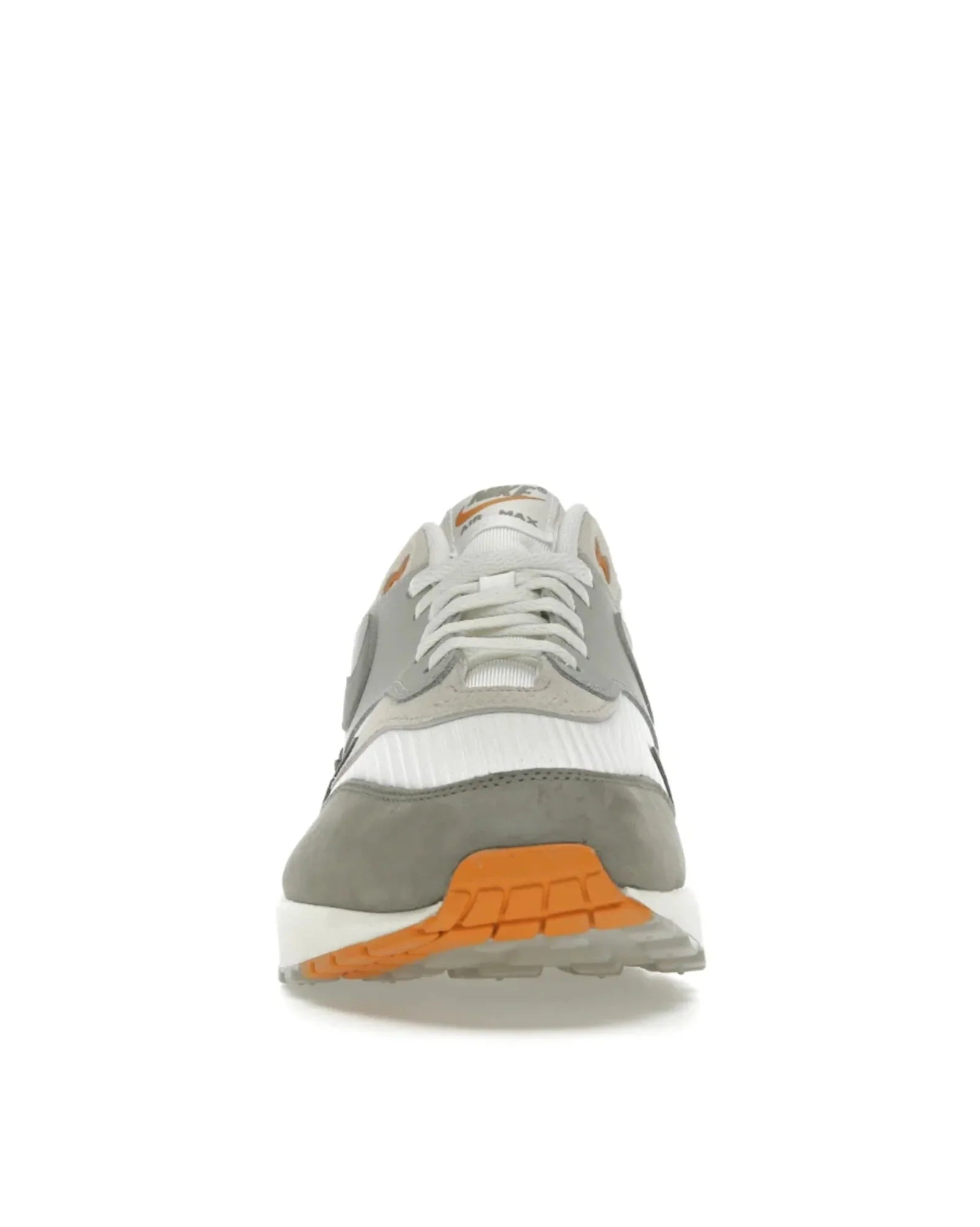 Nike Air Max 1 Light Iron Ore Flat Pewter