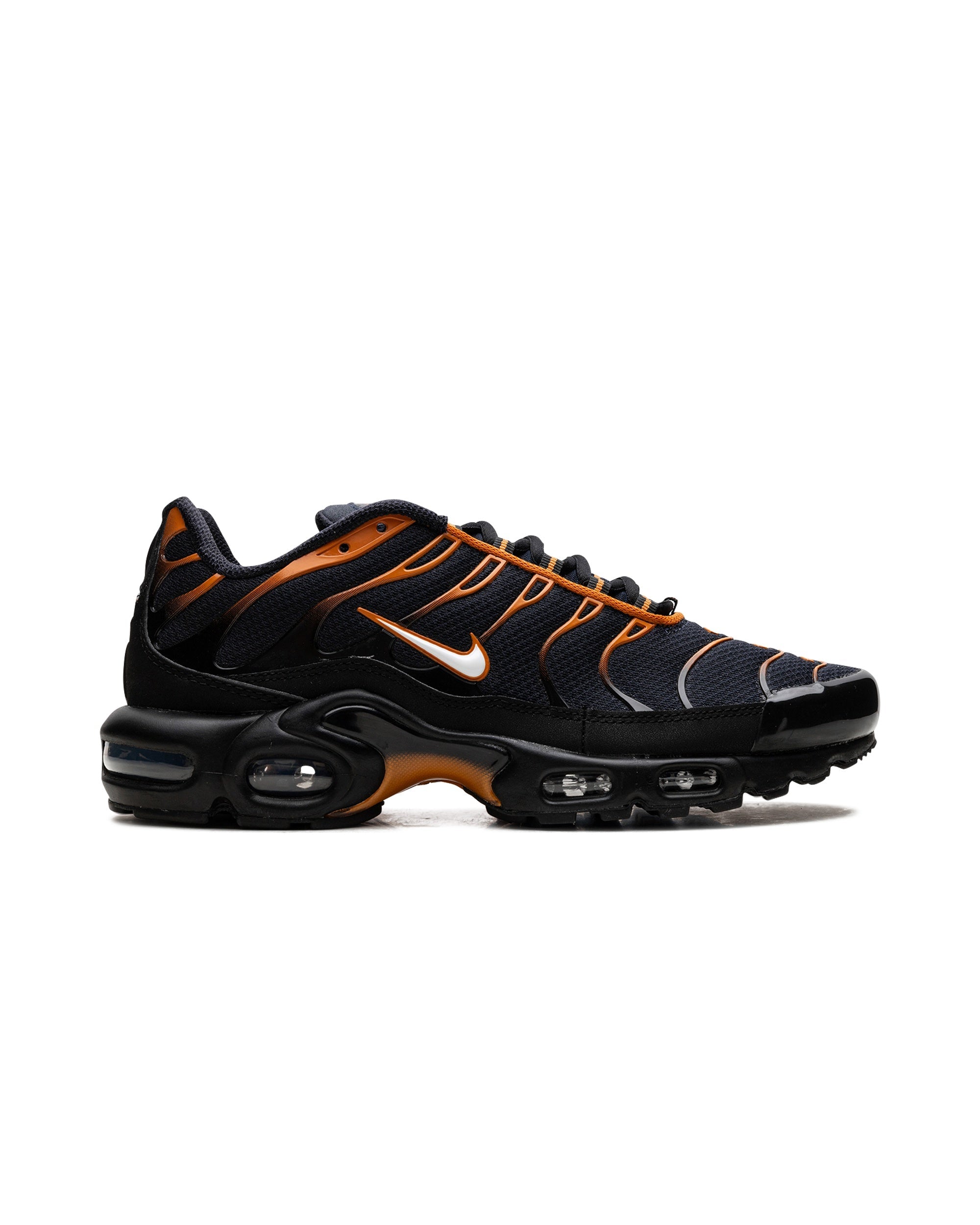 Nike Air Max Plus Dark Obsidian Monarch
