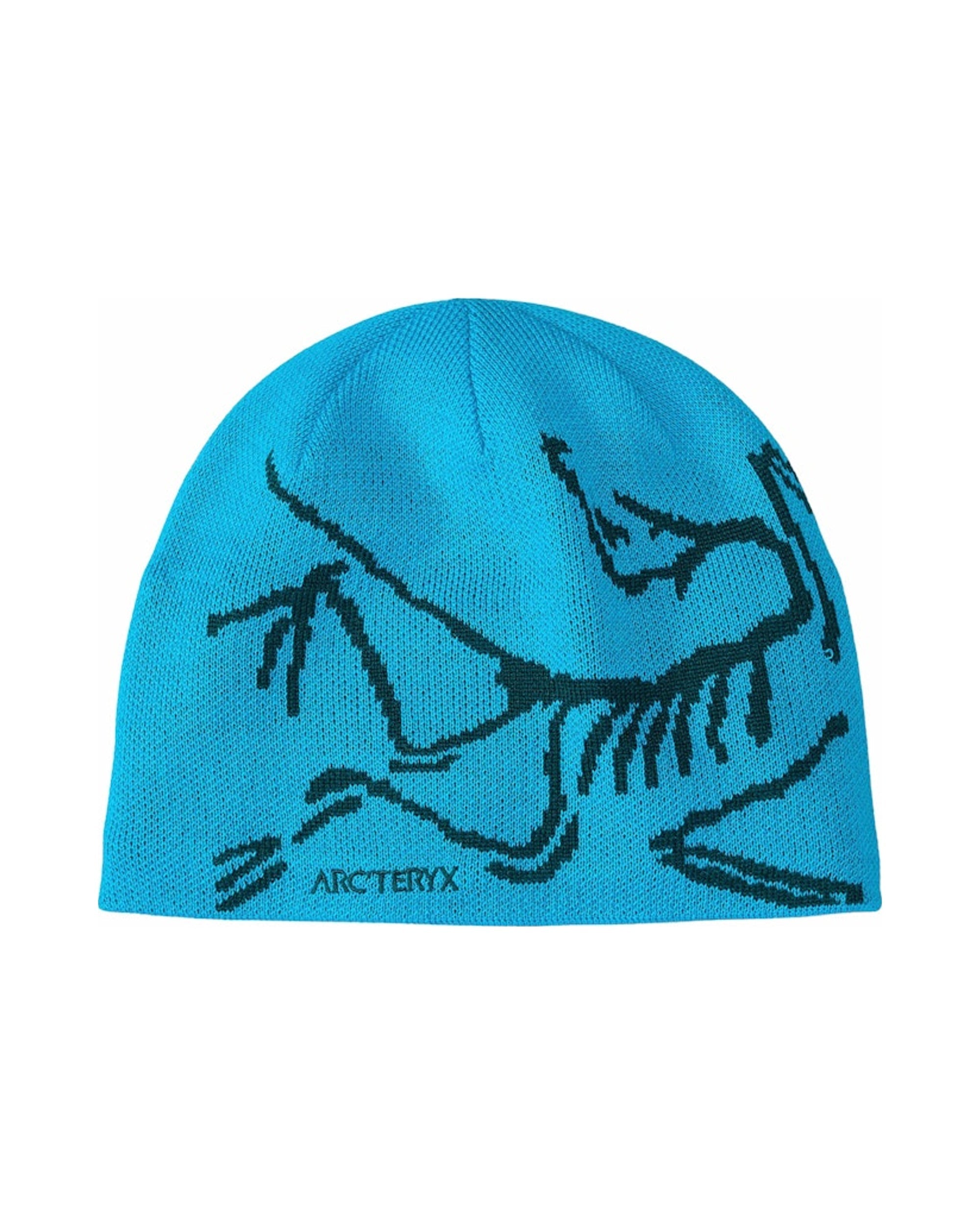 Arc'teryx Bird Head Toque Blue Tetra/Pytheas