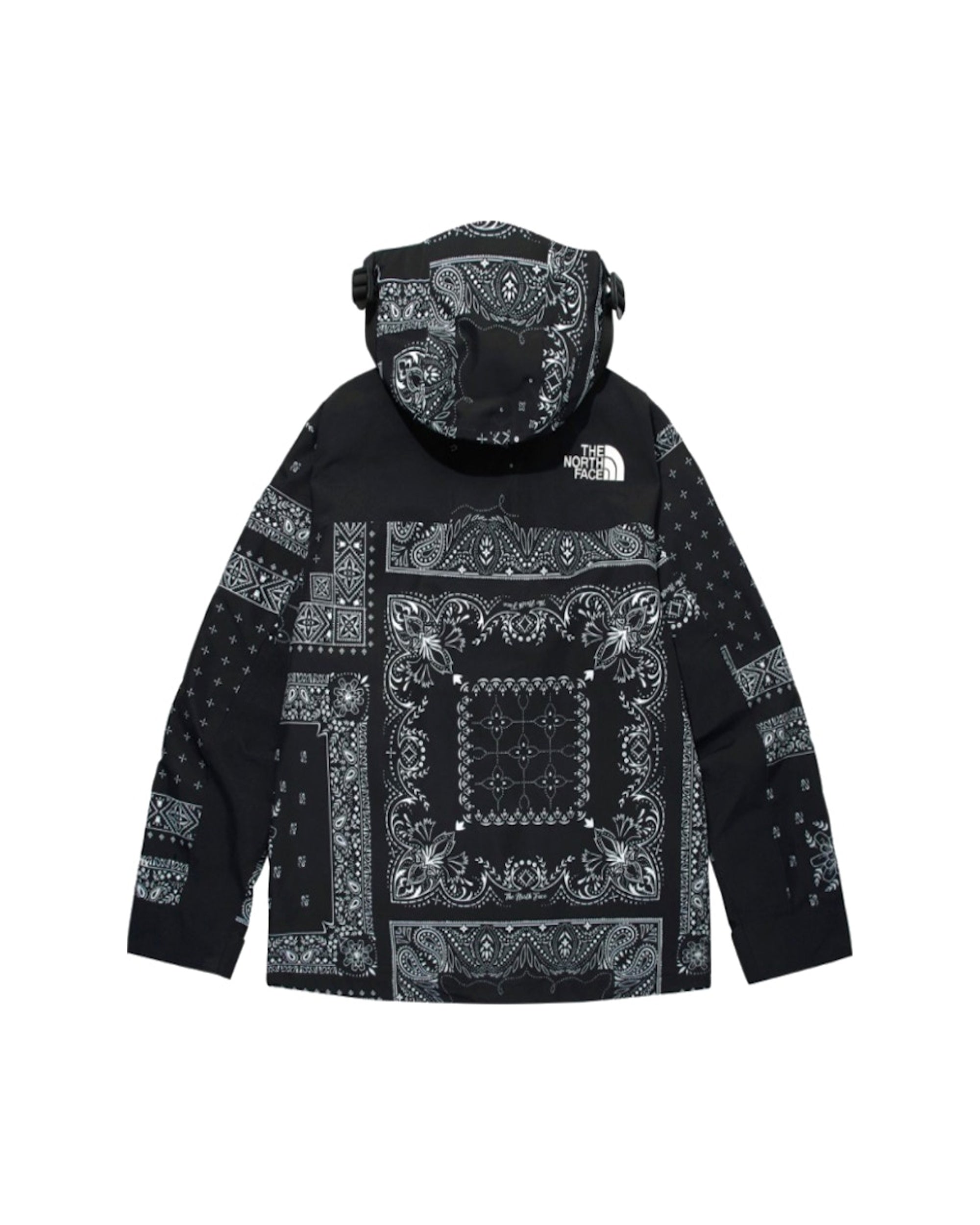 The North Face Novelty GTX Paisley Mountain Jacket Black